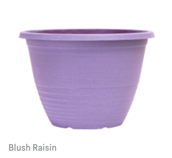 image of Raisin Blush Planters